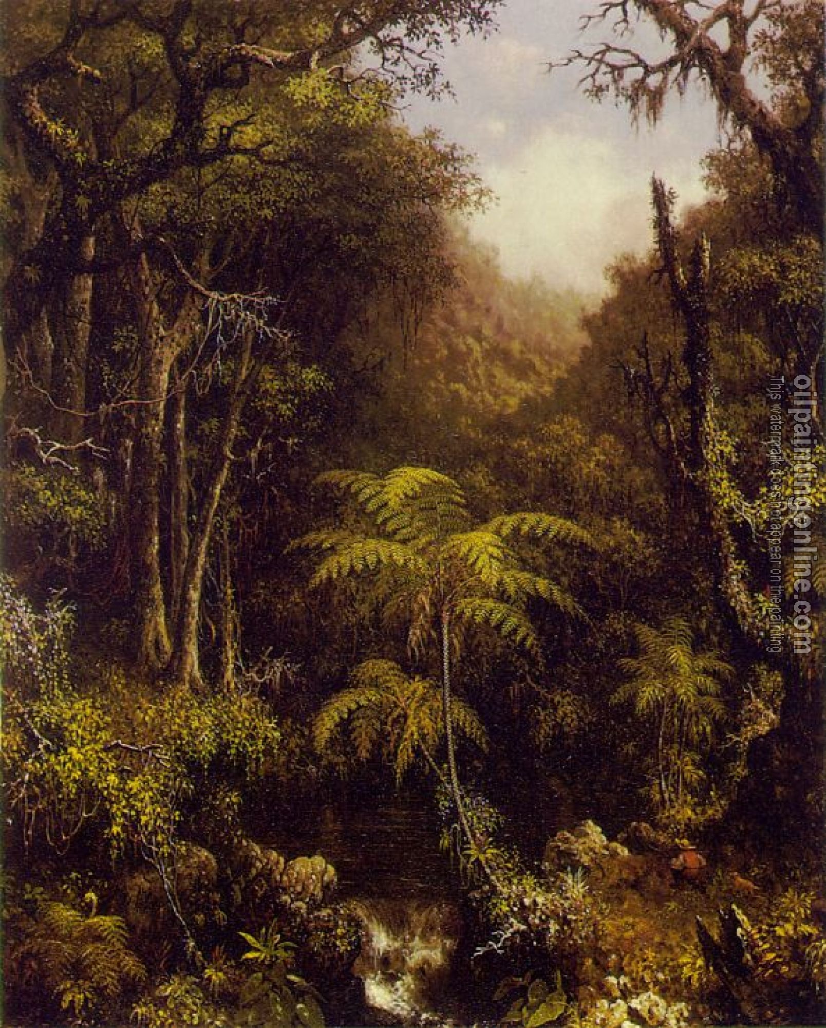 Heade, Martin Johnson - Brazilian Forest